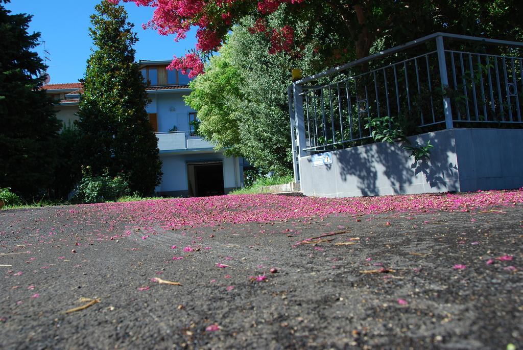 Bianco Nuvola Bed & Breakfast Montecchio  Oda fotoğraf